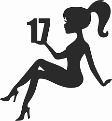 Топпер "Девушка, волосы хвост, 17 лет" ч 11*13 см